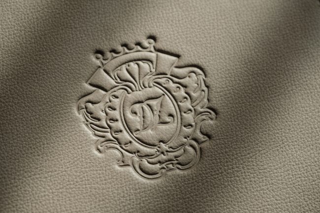 DomusZamittello_Logo